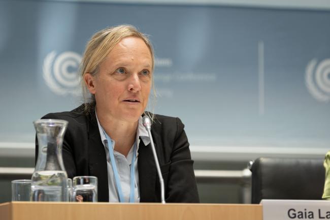 Gaia Larsen, World Resources Institute (WRI)