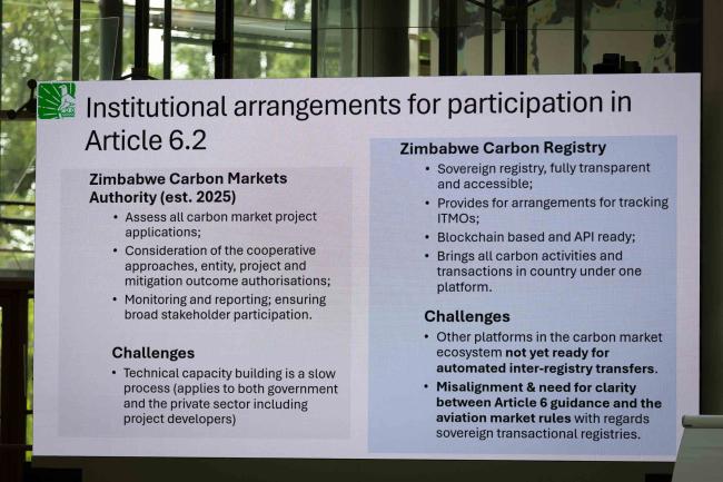 A slide from Zimbabwe's presentation highlights their institutional arrangements
