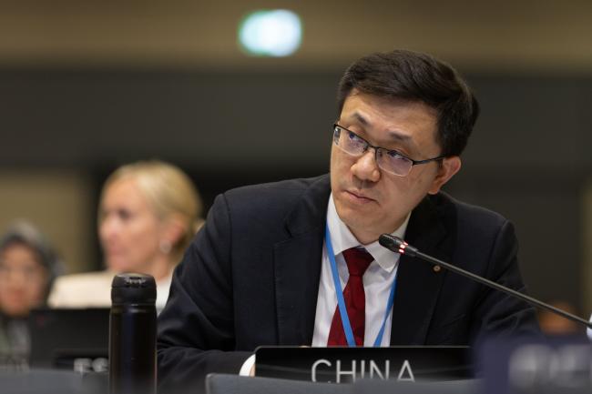 Liang Pei, China, on behalf of the Like-Minded Developing Countries (LMDCs)