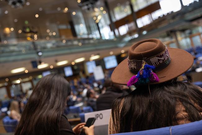 Hat in plenary