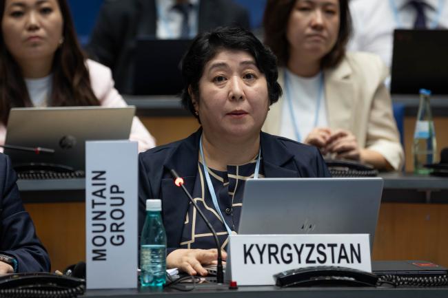 Dinara Kemelova, Special Representative of the President, Kyrgyzstan
