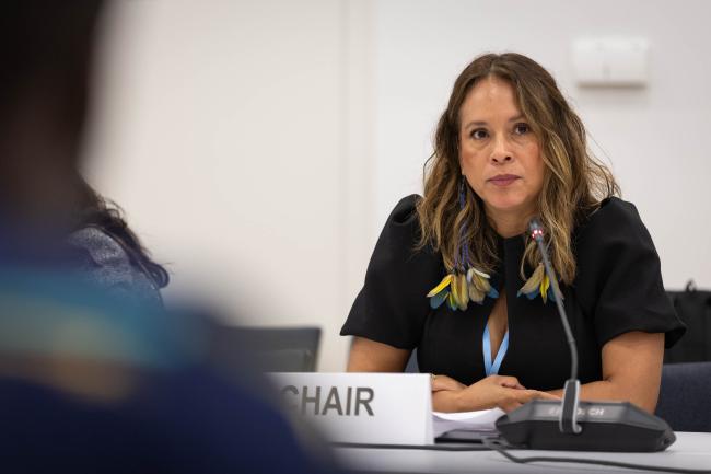 Moderator Eileen Cunningham, Indigenous Peoples Organizations (IPOs)