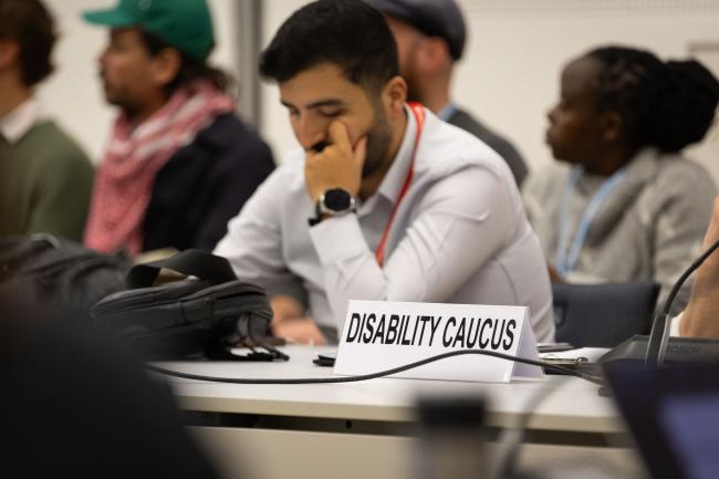 Disability caucus