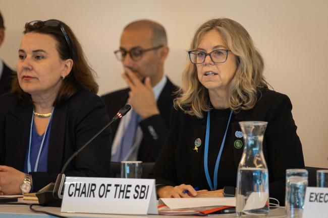 Julia Gardiner, SBI Chair