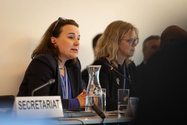 Noura Hamladji, Deputy Executive Secretary, UNFCCC