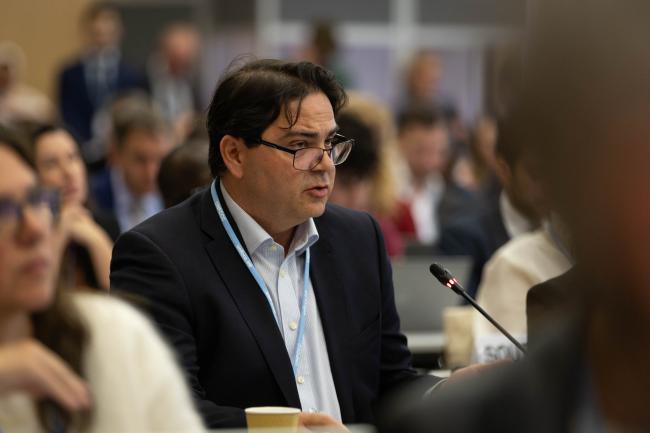 Ricardo Gorini, International Renewable Energy Agency (IRENA)