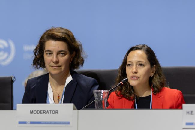 Bruna Cerquiera, Action Agenda Coordinator