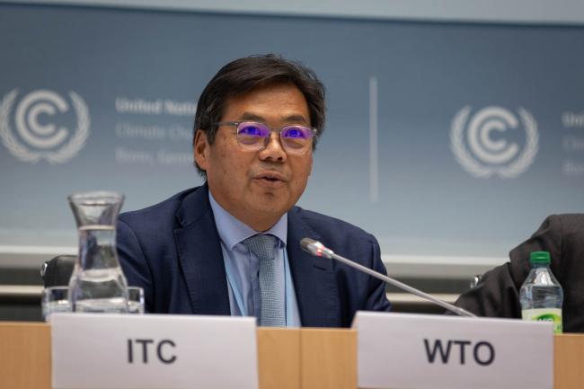 Aik Hoe Lim, World Trade Organization (WTO)