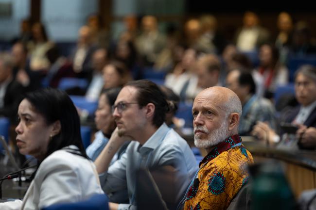 Delegates listen to the interventions