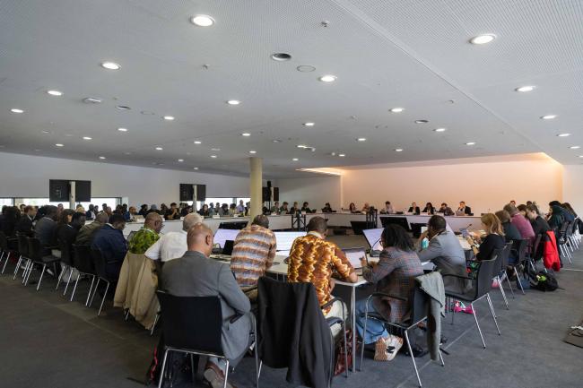 Informal consultations on agriculture and food security