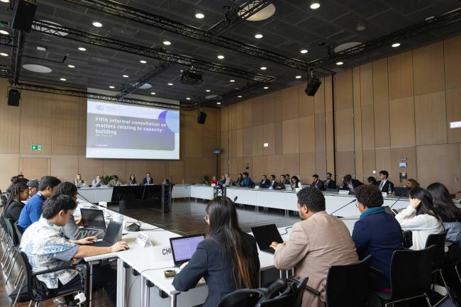 Informal consultations on matters relating to capacity building