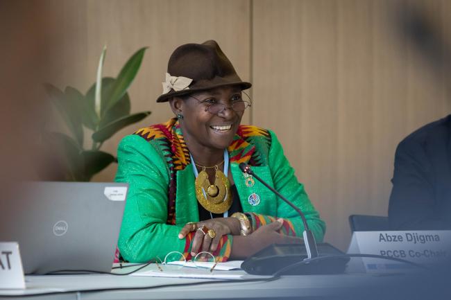 Princess Abze Djigma, Co-Chair, PCCB