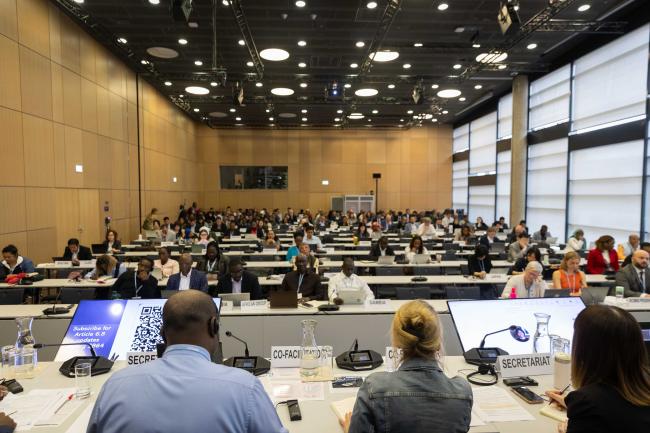 Informal consultations on Art 6.8 (non-market approaches)