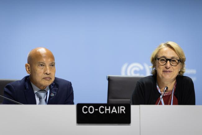 Co-Chairs for informal consultations on the just transition Joseph Teo, Singapore, and Federica Fricano, Italy