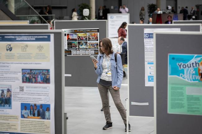 Delegates visit the poster display to learn about different initiatives taking place for climate action