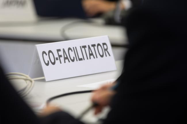 Co-Facilitator 