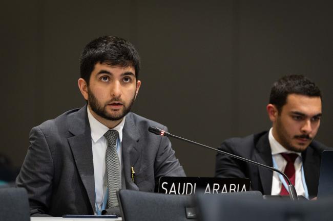 Mohammad Ayoub, Saudi Arabia