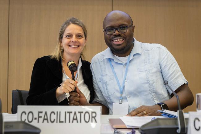 Co-Facilitators for the informal consultations on Art 6.8 Angela Friedrich, Austria, and Charles Hamilton, the Bahamas, celebrate the finalization of their work