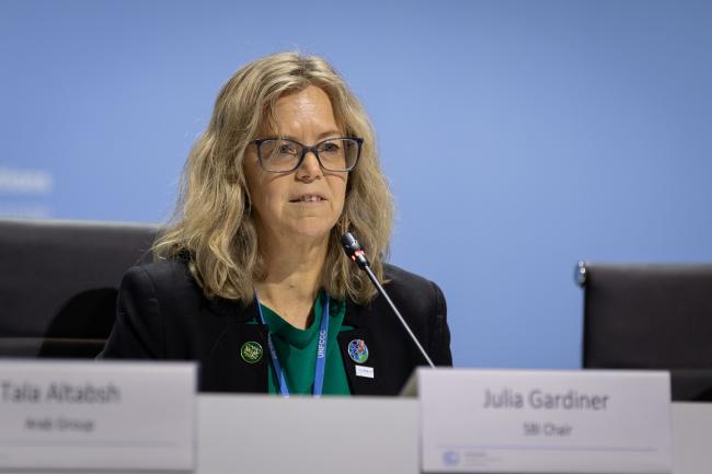 Julia Gardiner, SBI Chair
