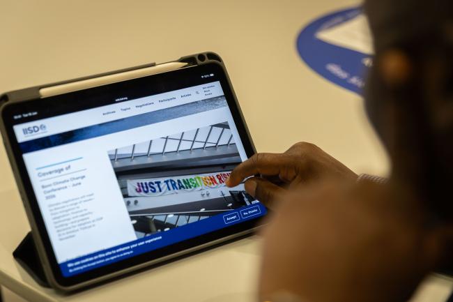 A delegate visits the IISD/ENB webpage to see photos of the day