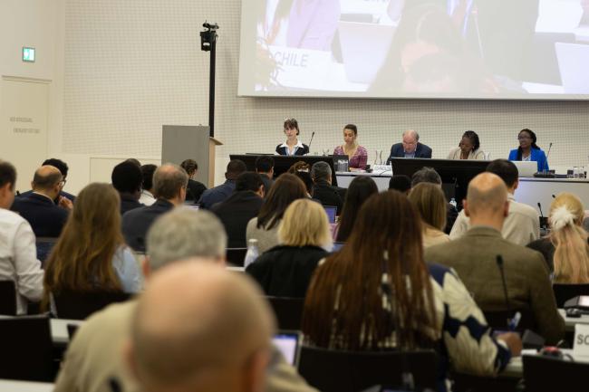 Informal consultations on the provision of support for reporting and capacity-building