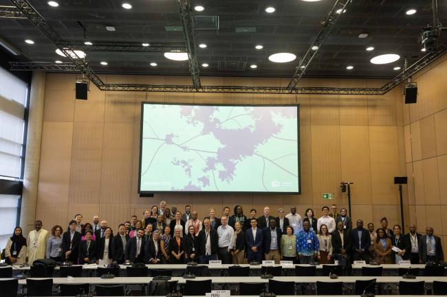 Family photo of delegates participating in the informal consultations on Art 6.2