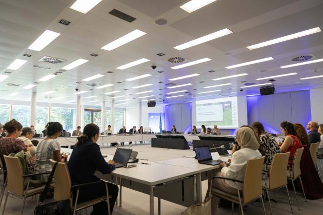 Delegates gather for a special session focused on introducing the High-Level Consultative Roundtable