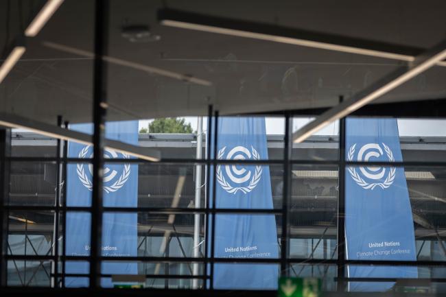 UN flags