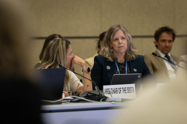 Carol Franco, SBSTA Vice-Chair, and Julia Gardiner, SBI Chair