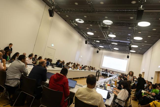Informal consultations on research and systematic observation