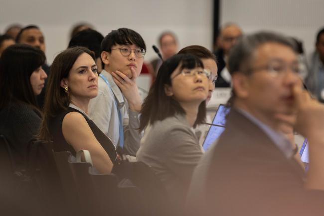 Delegates review the negotiating text projected on screen during the informal consultations on research and systematic observation