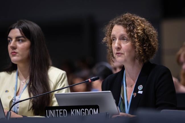 Kate Hughes, UK, on behalf of the Umbrella Group