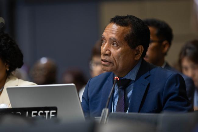 Adao Soares Barbosa, Timor Leste, on behalf of LDCs