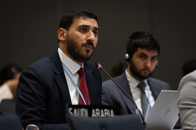 Abdulaziz Abdallah Albutti, Saudi Arabia, on behalf of the Arab Group