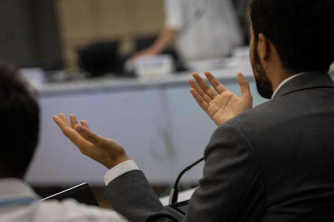 As the June Climate Meetings conclude, delegates express their dismay at how the negotiations unfold