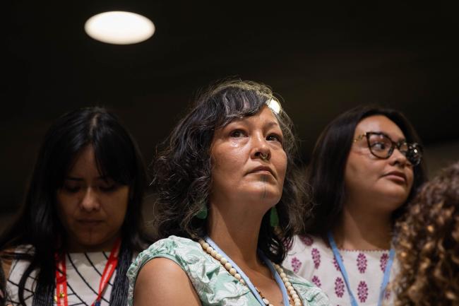 Indigenous representatives