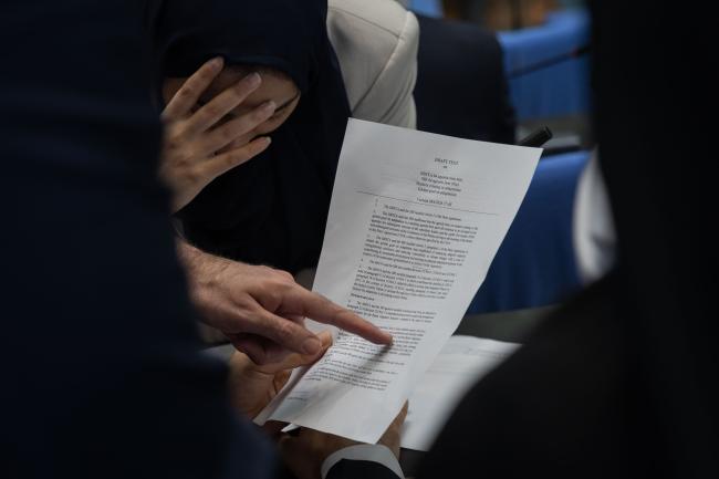 As informal consultations on the GGA continue, delegates refer to their red lines in draft text