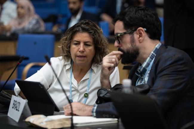 Delegates from Brazil consult