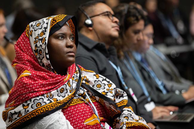 Delegates listen to the interventions