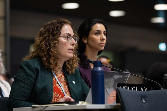 Laura Dupuy, Uruguay, on behalf of the G-77/China