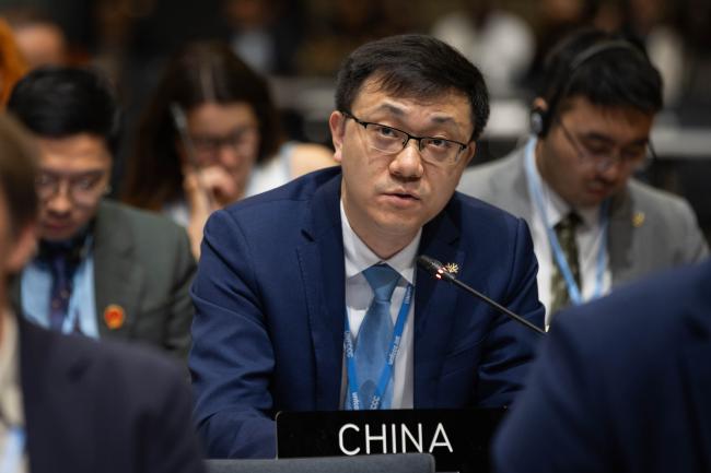 Liang Pei, China, on behalf of Like-Minded Developing Countries (LMDCs)