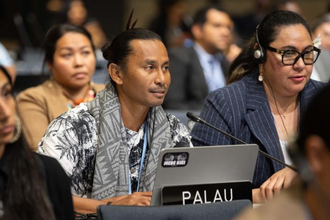 Erbai Xavier Matsutaro, Palau, on behalf of the Alliance of Small Island States (AOSIS)