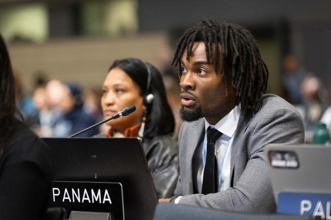 Abdiel Ismael Douglas, Panama, on behalf of Independent Association of Latin America and the Caribbean (AILAC)
