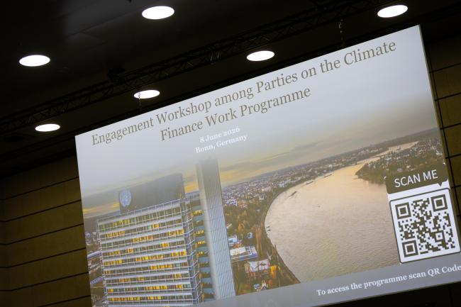 Delegates attend a special workshop to discuss the Climate Finance Work Programme