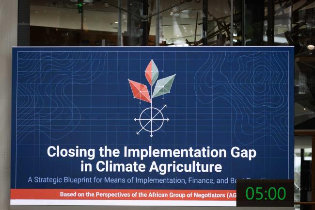 An in-session workshop is held to discuss progress, challenges, and opportunities relating to identifying needs and accessing means of implementation for climate action on agriculture and food security