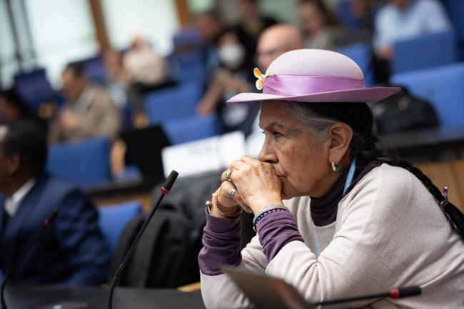 Delegates listen