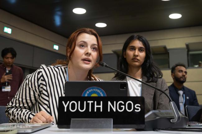 Elena-Alexandra Miron and Dimple Asopa, Youth NGOs (YOUNGO)