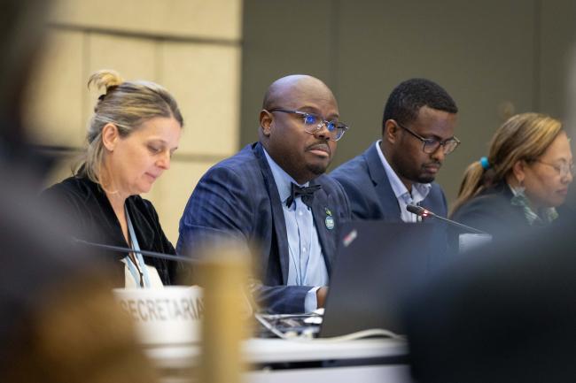 Workshop Co-Chair Charles Hamilton, the Bahamas