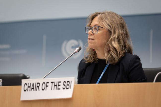 Julia Gardiner, SBI Chair