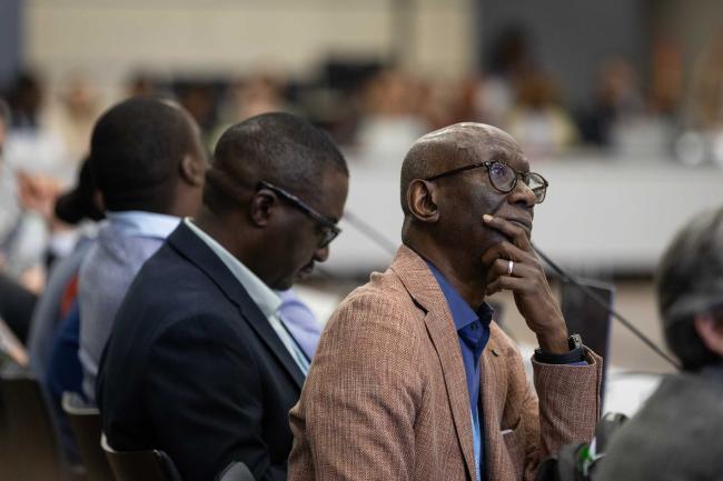 Delegates listen to the presentations